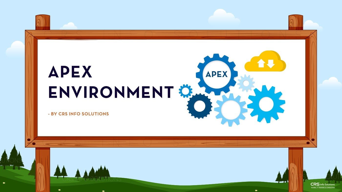 Salesforce Apex Tutorial - Chapter 2 - Apex Environment Image 1