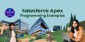 Apex programming Examples