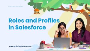 Understanding Roles and Profiles in Salesforce
